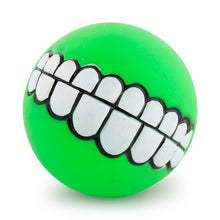 Load image into Gallery viewer, Fetching Squeak Toy