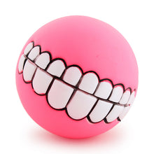 Load image into Gallery viewer, Fetching Squeak Toy