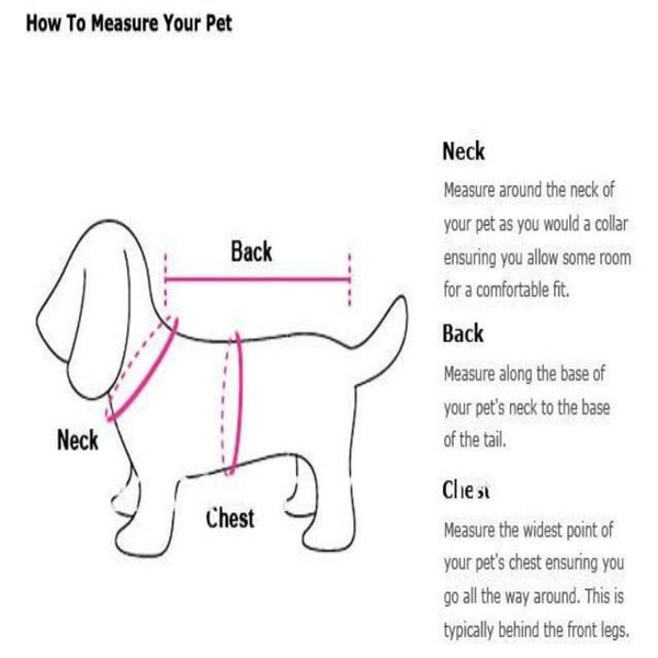 Training Strip  Leash