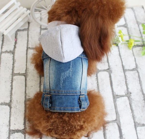 Hole Cowboy Jean Clothes