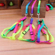 Load image into Gallery viewer, Colorful Rainbow Dog Collar Harness Leash
