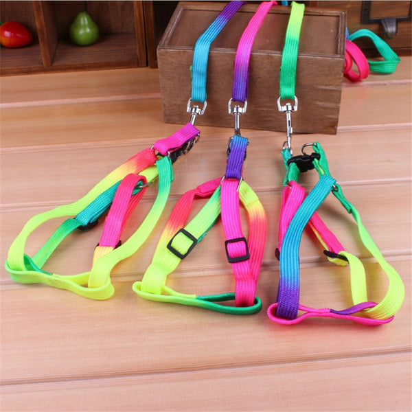 Colorful Rainbow Dog Collar Harness Leash