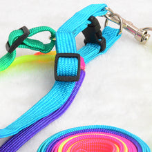 Load image into Gallery viewer, Colorful Rainbow Dog Collar Harness Leash