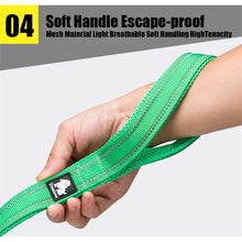 Load image into Gallery viewer, Reflective Nylon Mesh Collar And Leash