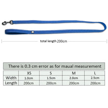 Load image into Gallery viewer, Reflective Nylon Mesh Collar And Leash