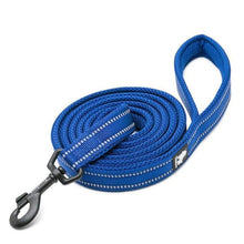 Load image into Gallery viewer, Reflective Nylon Mesh Collar And Leash