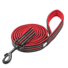 Load image into Gallery viewer, Reflective Nylon Mesh Collar And Leash