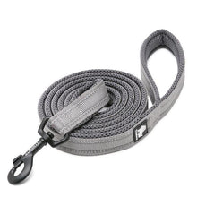 Load image into Gallery viewer, Reflective Nylon Mesh Collar And Leash