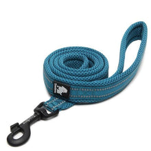 Load image into Gallery viewer, Reflective Nylon Mesh Collar And Leash
