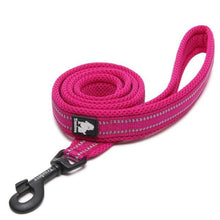 Load image into Gallery viewer, Reflective Nylon Mesh Collar And Leash