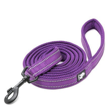Load image into Gallery viewer, Reflective Nylon Mesh Collar And Leash