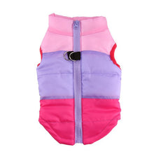 Load image into Gallery viewer, Jacket Padded Clothes