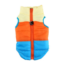 Load image into Gallery viewer, Jacket Padded Clothes