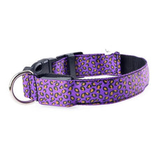 Load image into Gallery viewer, Flashing Glowing Collar Leash