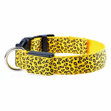Load image into Gallery viewer, Flashing Glowing Collar Leash