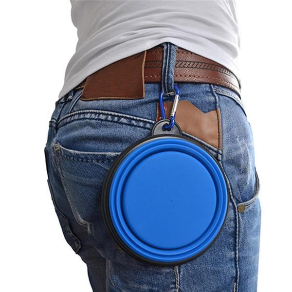 Collapsible Silicone Feeding Bowl