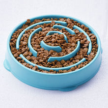 Load image into Gallery viewer, Interactive Slow Food Bowl