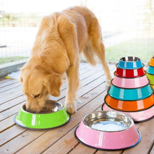 Load image into Gallery viewer, Spray Paint Pet Bowl