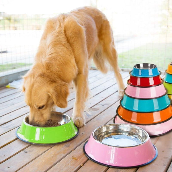 Spray Paint Pet Bowl