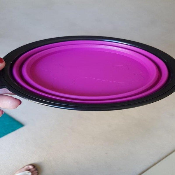 Collapsible Silicone Feeding Bowl