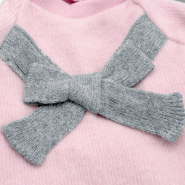 Schnauzer Pomeranian Clothing