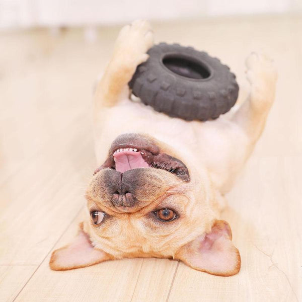Rubber Ball Toy
