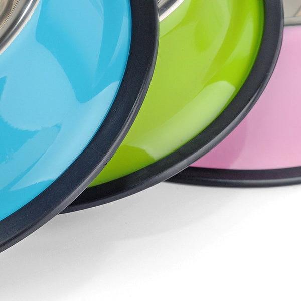 Spray Paint Pet Bowl