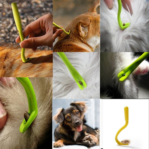 Scratching Flea Hook Grooming Comb