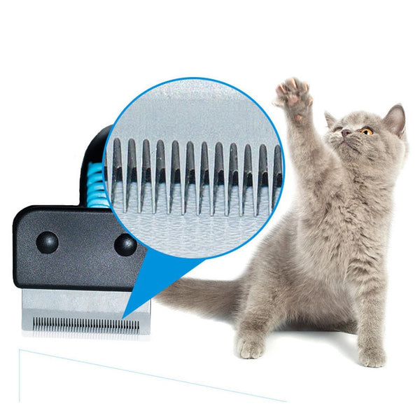 Furmins Pet Grooming