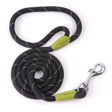 Load image into Gallery viewer, Reflective Dog Leash And Harness