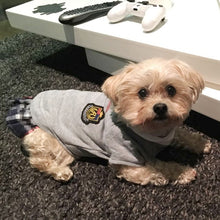 Load image into Gallery viewer, School Style Pet Clothes