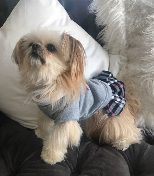 School Style Pet Clothes