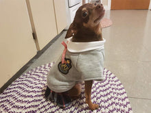 Load image into Gallery viewer, School Style Pet Clothes