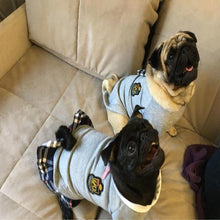 Load image into Gallery viewer, School Style Pet Clothes