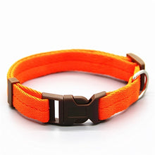 Load image into Gallery viewer, Necktie Necklace Dog Collar