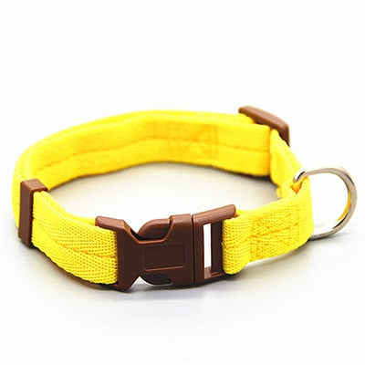 Necktie Necklace Dog Collar